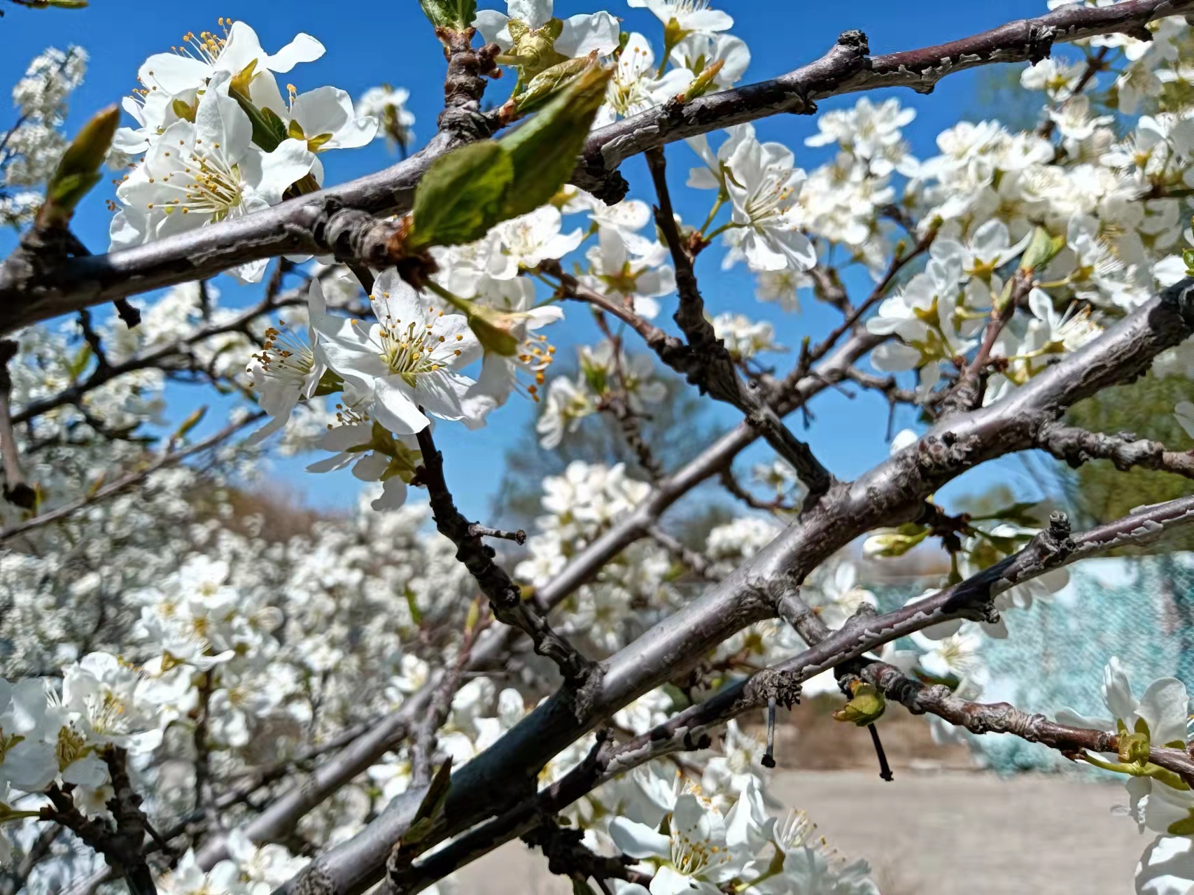 1666745815341480.jpg 微信圖片_20220407154308.jpg